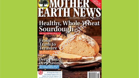 Mother Earth News - October November 2025