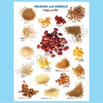 برچسب آموزشی غلات و حبوبات