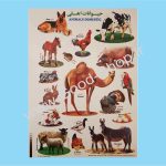 برچسب آموزشی حیوانات اهلی کد 011