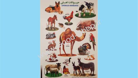 برچسب آموزشی حیوانات اهلی کد 011