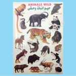 برچسب آموزشی حیوانات وحشی کد 033