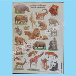 برچسب آموزشی حیوانات وحشی کد 034